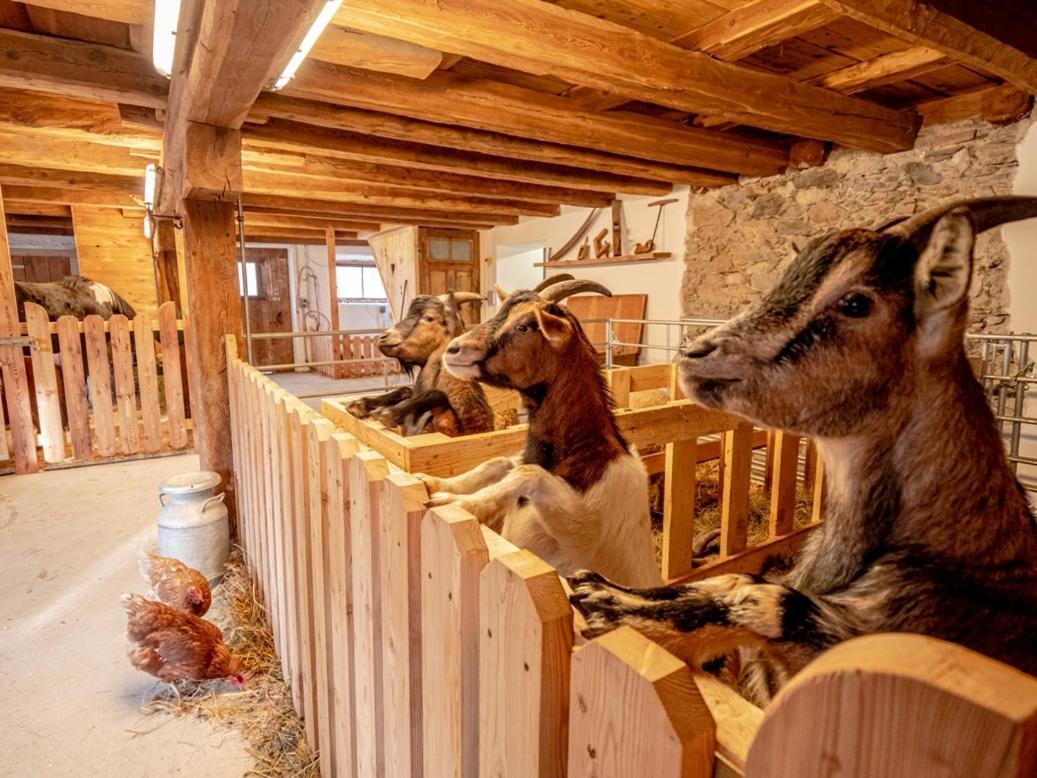 Zeiserhof Рамзау ам Дахщайн Екстериор снимка